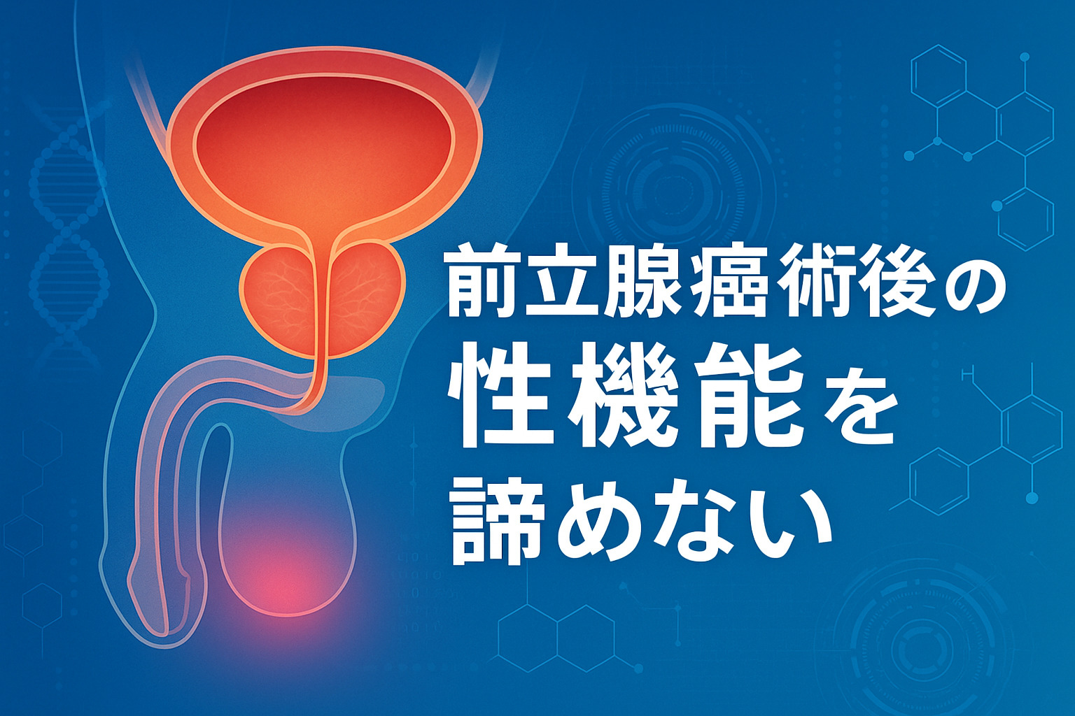 前立腺癌の手術後でも性行為はできる？｜性機能に与える影響について解説